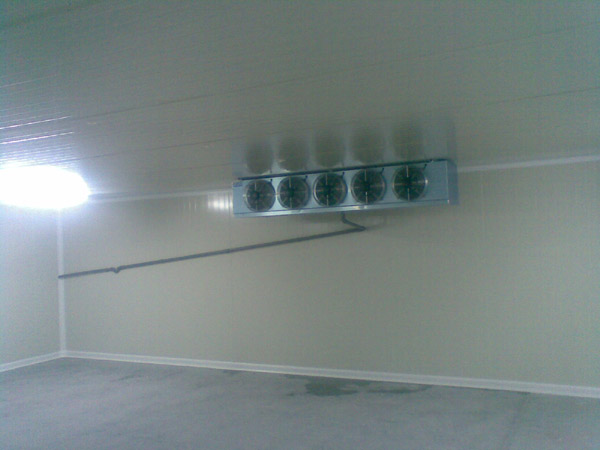 camere frigorifice