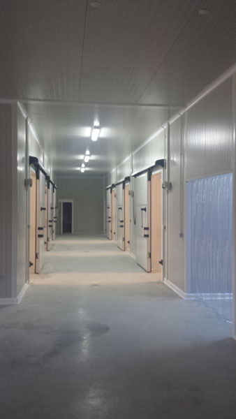 camere frigorifice